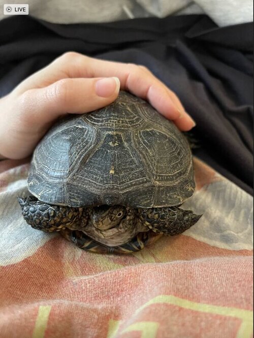 photo_2022-03-04 20.27.59.jpeg