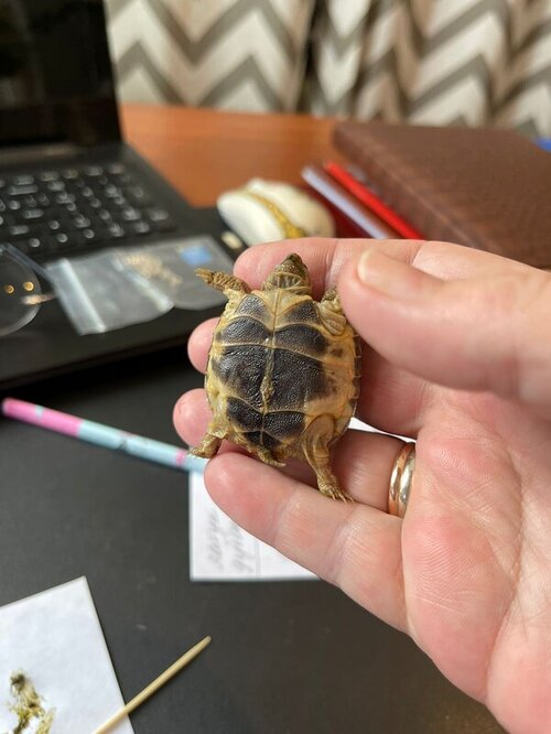 WhatsApp Image 2022-03-28 at 12.32.46.jpeg