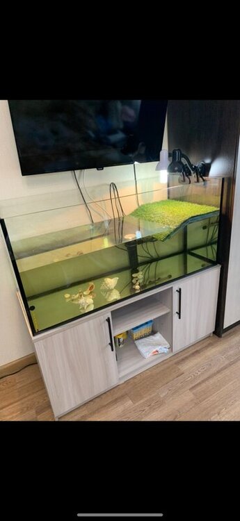 WhatsApp Image 2022-03-13 at 12.31.16 (1).jpeg