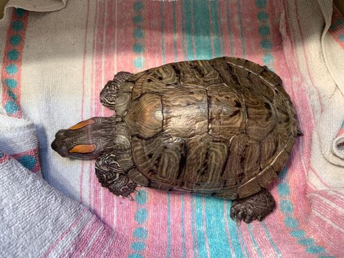 WhatsApp Image 2022-03-12 at 21.03.38.jpeg