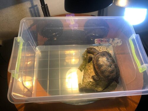 photo_2022-03-18 11.35.40.jpeg