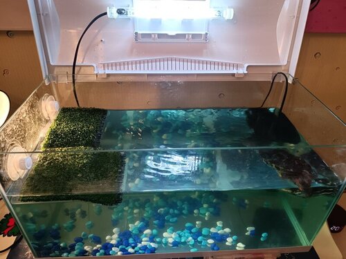 WhatsApp Image 2022-03-31 at 21.01.20 (2).jpeg