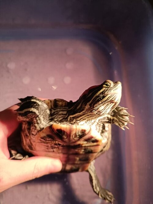 WhatsApp Image 2022-03-31 at 20.56.52 (4).jpeg