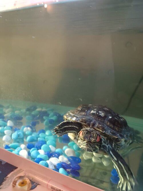 WhatsApp Image 2022-03-31 at 21.01.20 (3).jpeg