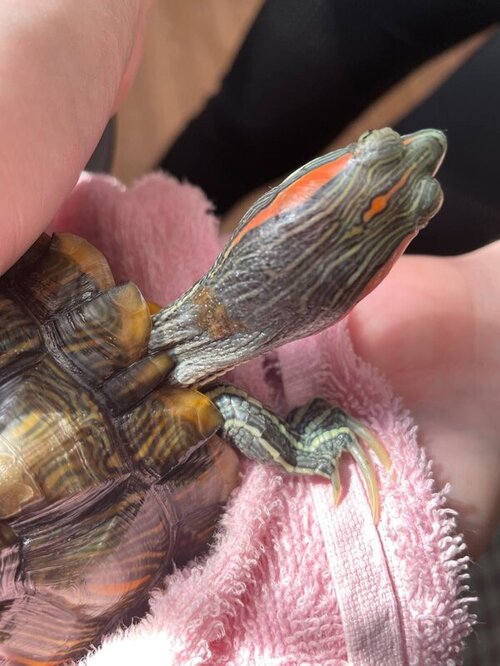 WhatsApp Image 2022-03-13 at 12.31.17.jpeg