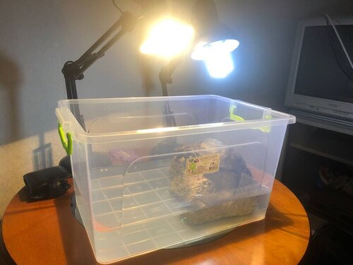 photo_2022-03-18 11.35.54.jpeg