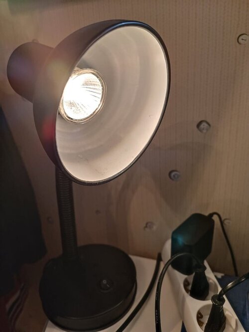 WhatsApp Image 2022-03-31 at 21.01.20 (1).jpeg