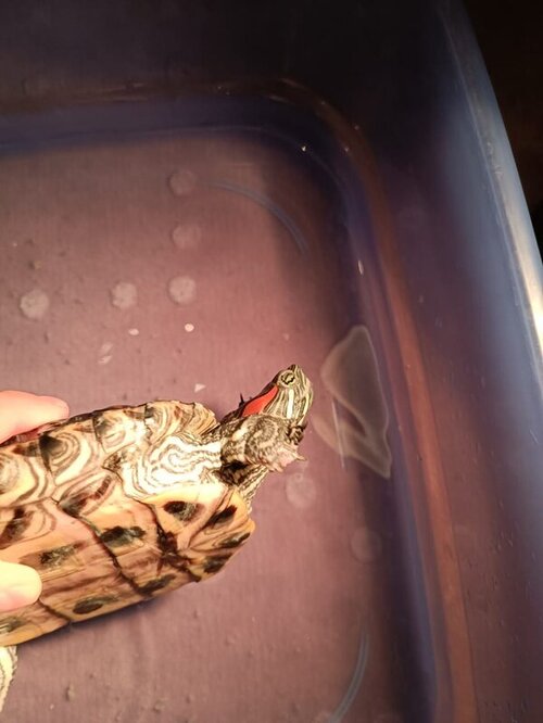 WhatsApp Image 2022-03-31 at 20.56.52 (3).jpeg