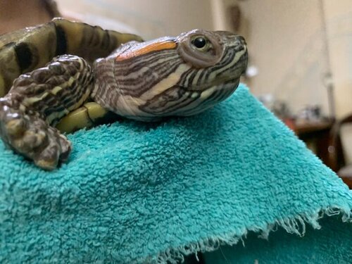 WhatsApp Image 2022-03-12 at 21.04.19.jpeg