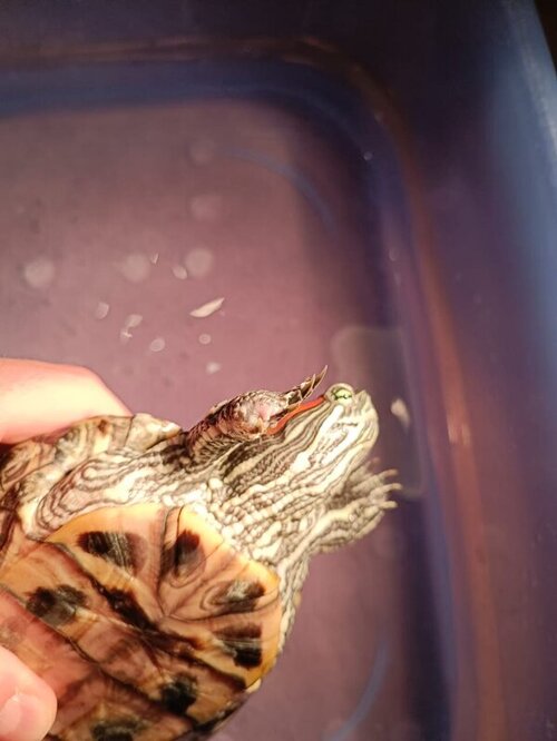 WhatsApp Image 2022-03-31 at 20.56.52 (2).jpeg