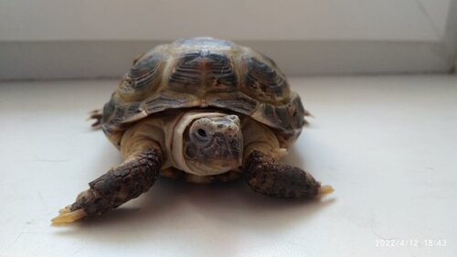 WhatsApp Image 2022-04-12 at 18.47.18 (3).jpeg