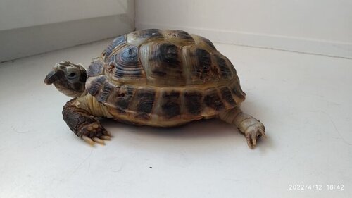 WhatsApp Image 2022-04-12 at 18.47.18 (5).jpeg