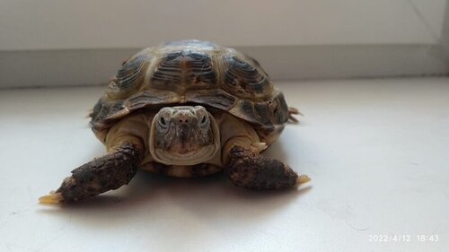 WhatsApp Image 2022-04-12 at 18.47.18 (2).jpeg