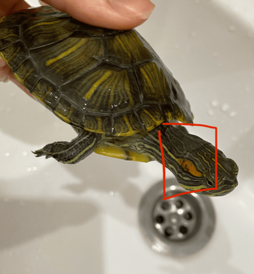 Изображение PNG 21.png