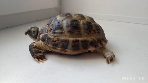 WhatsApp Image 2022-04-12 at 18.47.19.jpeg