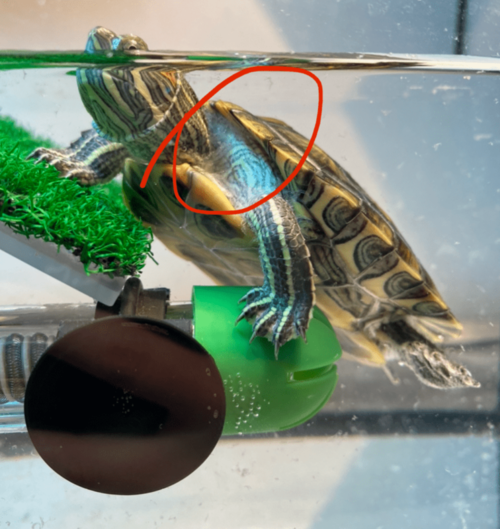 Изображение PNG 22.png