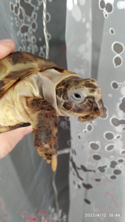 WhatsApp Image 2022-04-12 at 18.47.18.jpeg