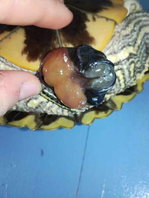 Смайлик 2.jpg