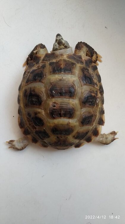 WhatsApp Image 2022-04-12 at 18.47.19 (1).jpeg