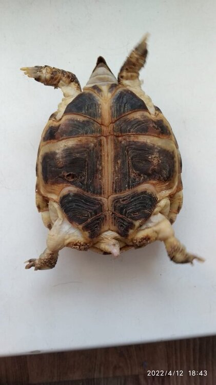 WhatsApp Image 2022-04-12 at 18.47.18 (1).jpeg