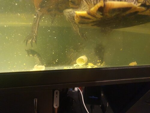 WhatsApp Image 2022-04-26 at 19.56.43.jpeg