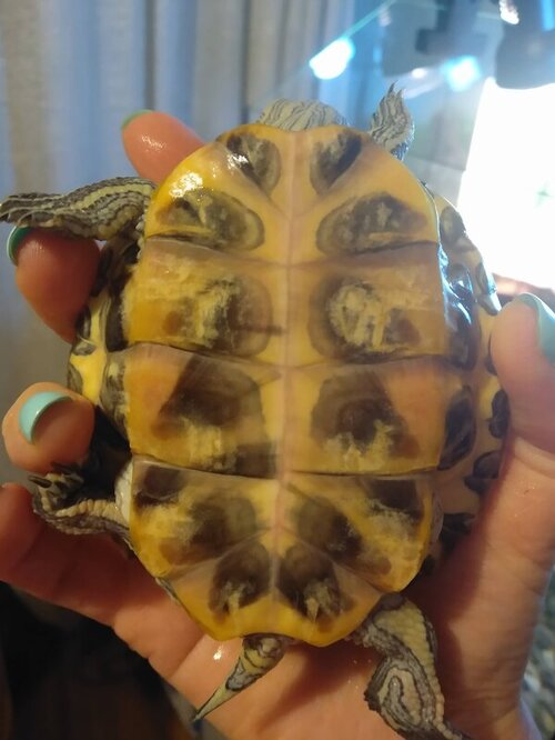 IMG_20220305_195047 ш.jpg