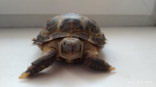 WhatsApp Image 2022-04-12 at 18.47.18 (4).jpeg