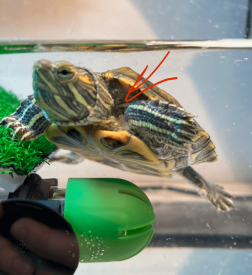 Изображение PNG 24.png