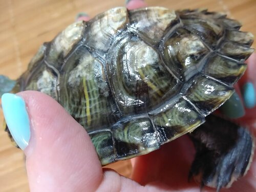 IMG_20220304_201933 ш.jpg