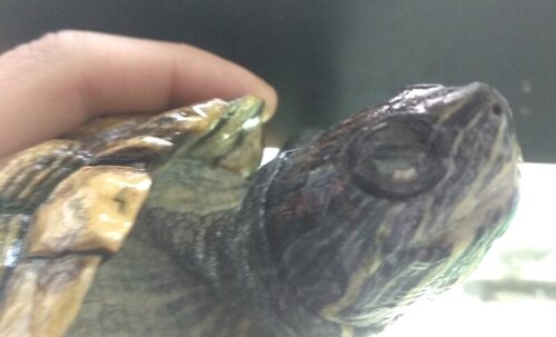 IMG_20220523_124417 (1).jpg