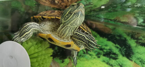 photo_2022-05-18_12-16-47 (2).jpg