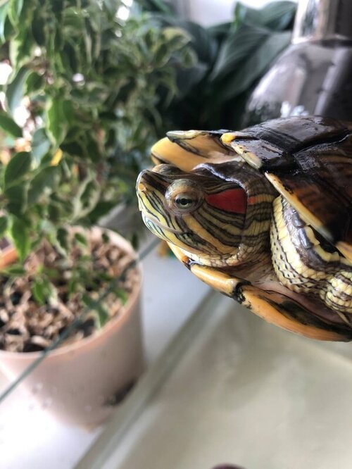 photo1653317976 (3).jpeg