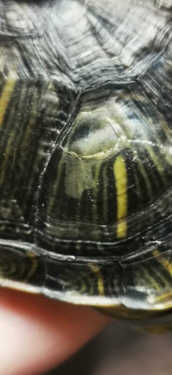 WhatsApp Image 2022-05-06 at 19.49.04 (9).jpeg