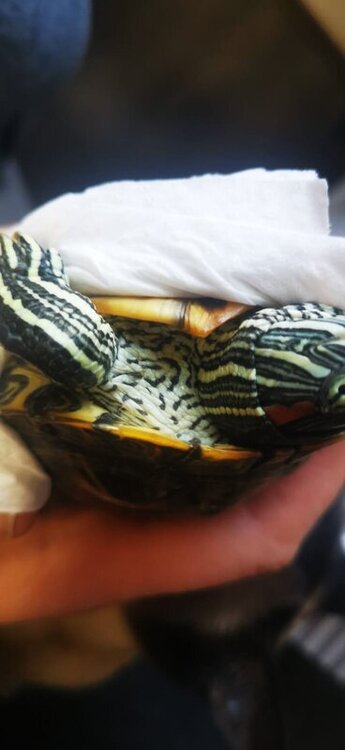 WhatsApp Image 2022-05-06 at 19.49.04 (2).jpeg