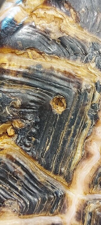 20220525_184256 — копия.jpg