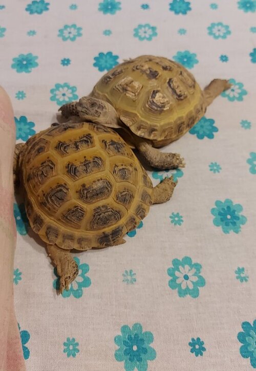 20220521_121544 — копия.jpg