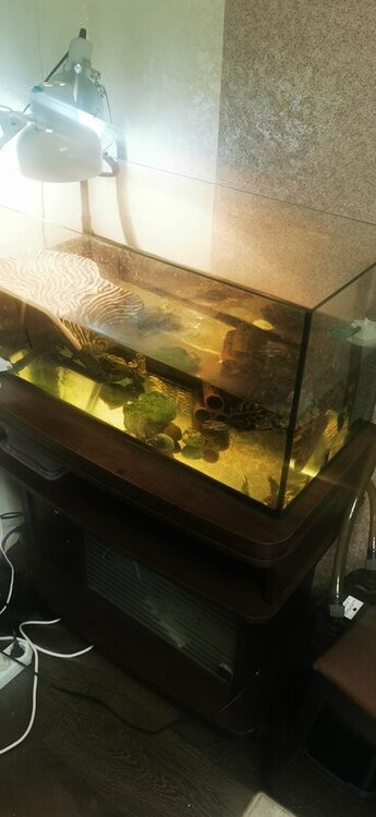 WhatsApp Image 2022-05-06 at 19.49.03 (2).jpeg