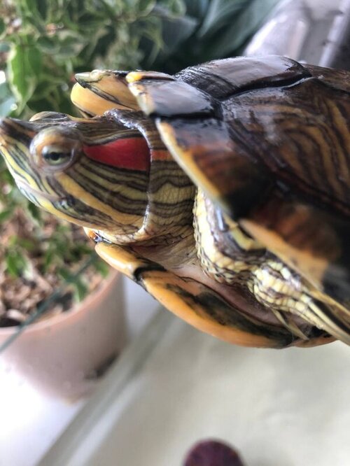 photo1653317976 (1).jpeg