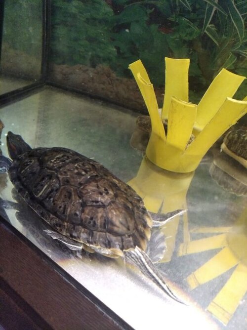 WhatsApp Image 2022-05-07 at 22.44.45.jpeg