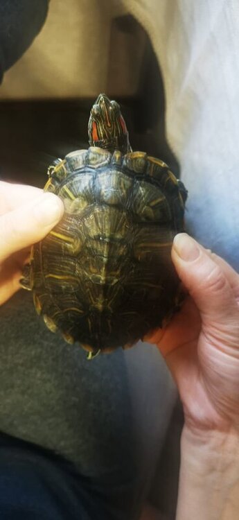 WhatsApp Image 2022-05-06 at 19.49.04 (1).jpeg