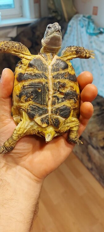 20220525_184233 — копия.jpg