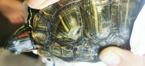 WhatsApp Image 2022-05-06 at 19.49.04 (8).jpeg