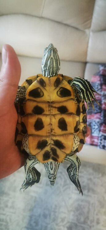 WhatsApp Image 2022-05-06 at 19.49.03 (4).jpeg