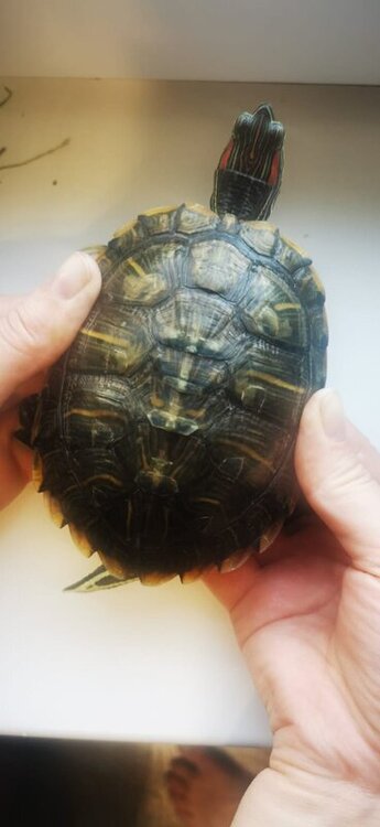 WhatsApp Image 2022-05-06 at 19.49.04.jpeg