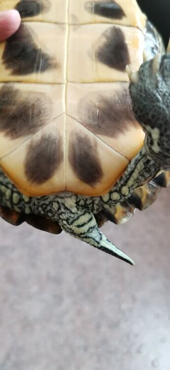 photo_2022-05-18_12-16-49 (3).jpg