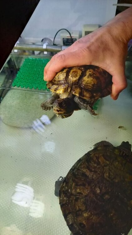 photo_2022-05-22_22-36-59 (2).jpg