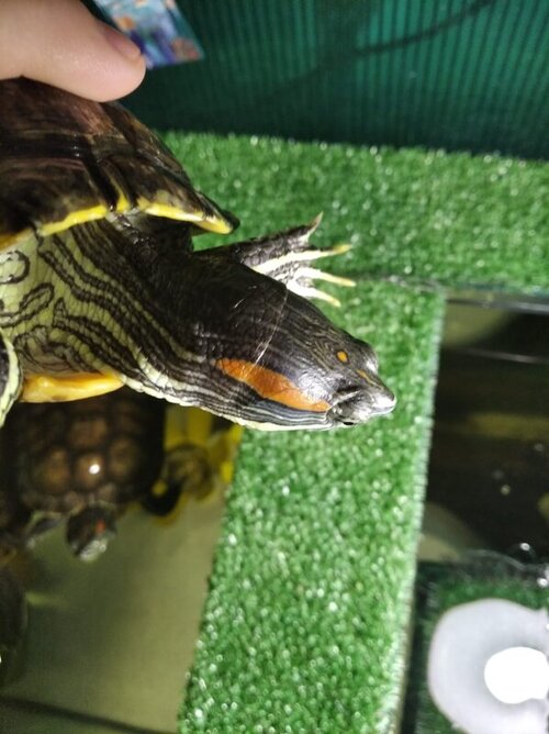 WhatsApp Image 2022-05-07 at 22.44.45 (1).jpeg