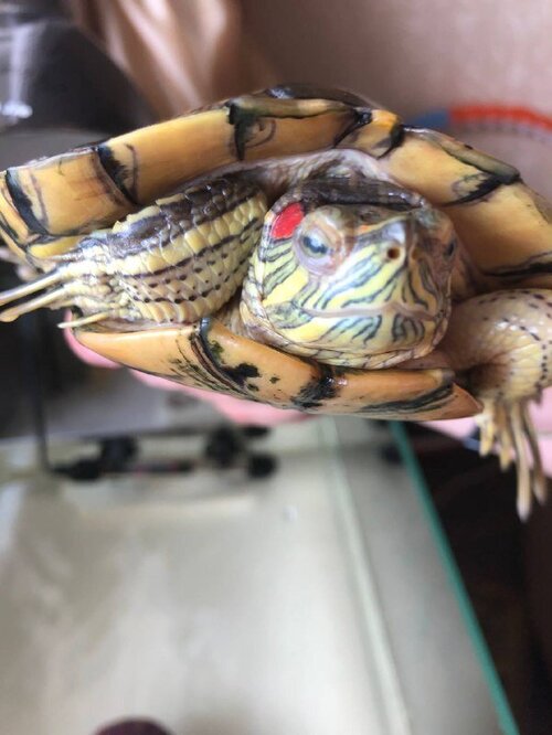 photo1653317976 (4).jpeg