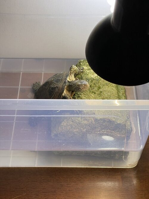 photo_2022-05-30 01.00.16.jpeg