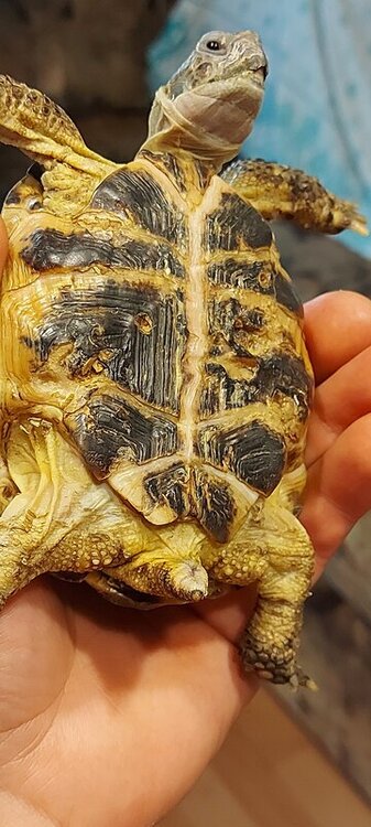 20220525_184246 — копия.jpg